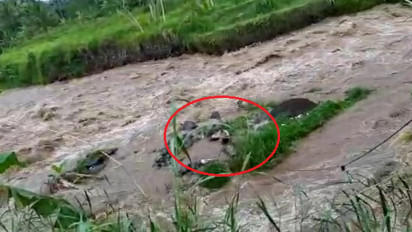 Penambang Pasir Terjebak Banjir di Sungai Serayu Wonosobo