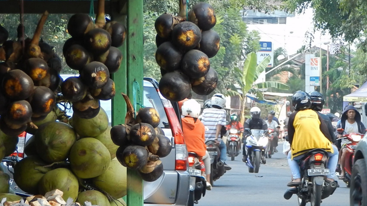 Buah Siwalan, Si Kenyal Segar yang Cocok untuk Berbuka Puasa
            - galeri foto