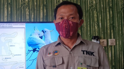 Imbas Petasan di Pulau Kalong, Agen Travel dan Kapal Disanksi Administratif