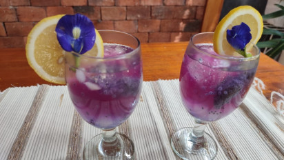 Bunga Telang Memiliki Berbagai Manfaat Hingga Menurunkan Berat Badan