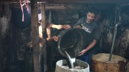 Berkah Ramadhan, Perajin Cincau di Malang Kebanjiran Order