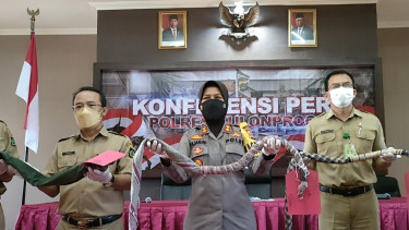 Hendak Tawuran, 8 Remaja di Kulun Progo Diamankan Polisi