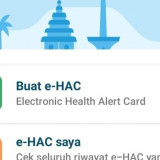 e-HAC jadi Syarat Mudik Naik Pesawat, Bagini Cara Isinya