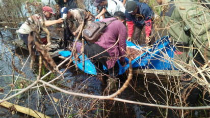 Petani Tewas Diterkam Harimau saat Membersihkan Ladang
