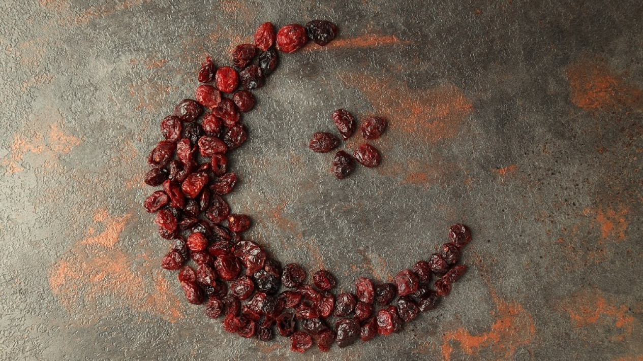 Qodho Puasa Ramadhan dan Tata Caranya
            - galeri foto