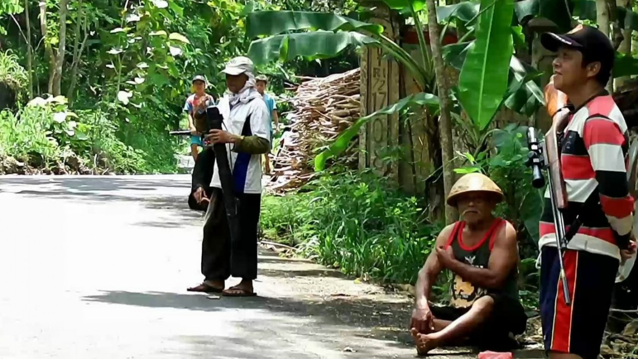Kawanan Kera Ekor Panjang Menyerang Lahan Pertanian di Gunungkidul
            - galeri foto
