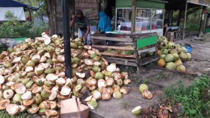 Berkah Ramadhan, Penjual Kelapa Muda Raup Untung Hingga Rp3 Juta Per Hari