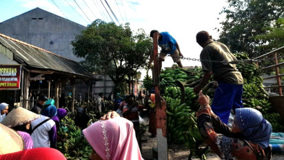 Menengok Lebih Dekat Penampakan Pasar Pisang Terbesar Di Boyolali