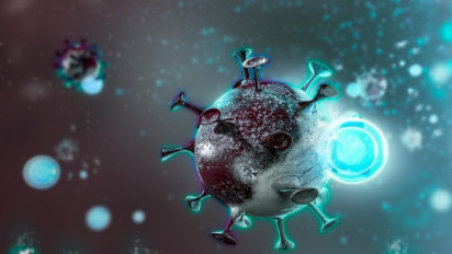 Sub Varian XE, XD, XF Belum Terdeteksi di Indonesia