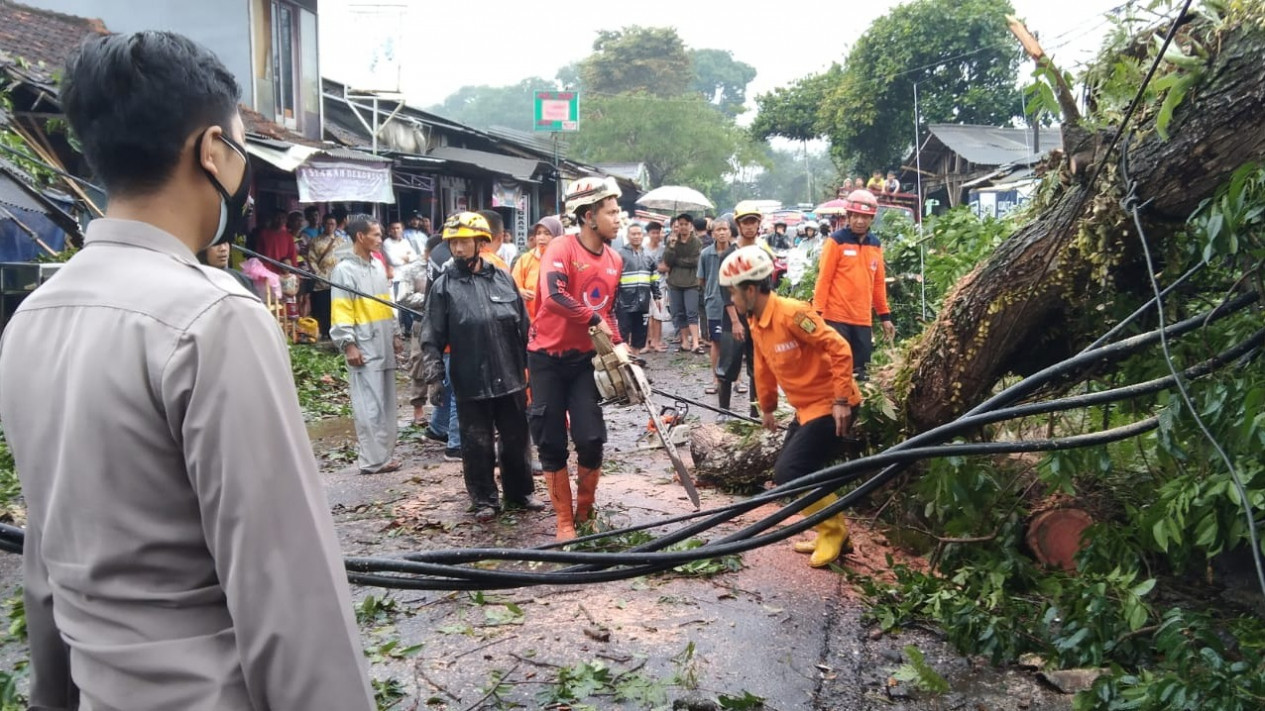 Pohon Besar di Sukabumi Roboh Menimpa Dua Rumah, Akibat Angin Kencang Disertai Hujan
            - galeri foto