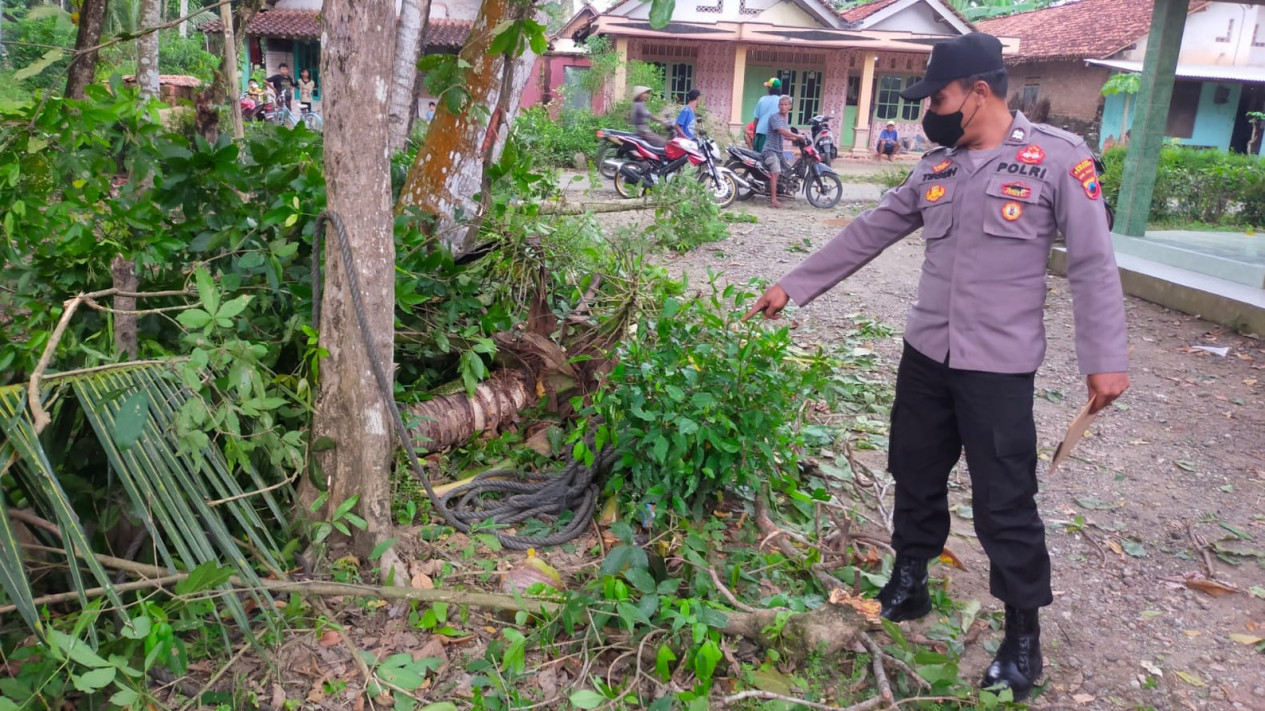 Naas, Warga Kebumen Tewas saat Menebang Pohon
            - galeri foto
