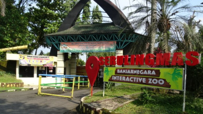 Perawat Satwa Tewas Diserang Harimau, TRMS Serungling Mas Tutup Sementara