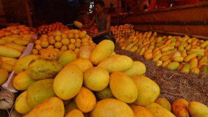 Dapat Atasi Anemia, Ini 5 Manfaat Kesehatan Timun Suri