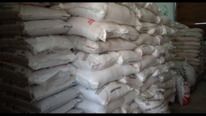 Imbas Kenaikan PPN, Harga Pupuk Non-Subsidi Nagan Raya Naik 100 Persen