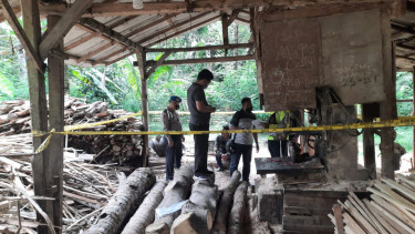 Pemuda di Banyuwangi Tewas Masukkan Kepalanya ke Mesin Gergaji, Korban Diduga Depresi