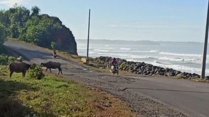 Sejumlah Titik Longsor Ancam Jalur Mudik di Bengkulu Dikeluhkan Pengusaha Otobus