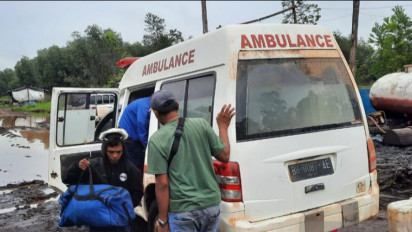 Seorang Pekerja Kembali Tewas Diterkam Harimau di Muaro Jambi