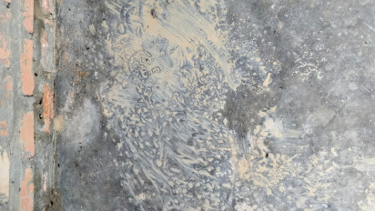 Belum Ditangkap, Harimau Kembali Teror Warga Bengkalis