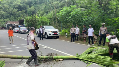 Mudik ke Kampung Halaman, Waspada Titik Rawan Tanah Longsor