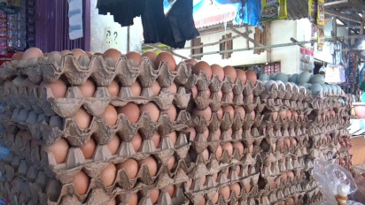 Jelang Lebaran, Harga Telur Ayam di Tebo Tembus Rp 50 Ribu Per Tepek