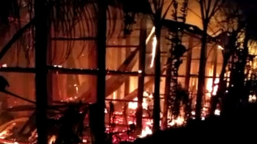 Kandang Terbakar, Puluhan Ribu Ayam Mati Terpanggang