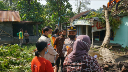 Angin Kencang, 33 Rumah di Bantul Rusak Tertimpa Pohon Roboh