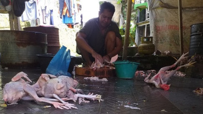 Tukang Potong Ayam Ini Raup Untung Jutaan Rupiah dalam 3 Hari Jelang Lebaran