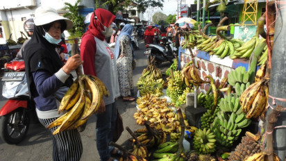 Pisang Agung, Oleh-Oleh Primadona Khas Lumajang