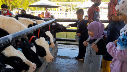 Libur Lebaran, Serunya Beri Makan Hewan Sampai Naik Kuda Poni