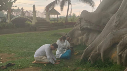 Bugil di Pohon Sakral, Bule Rusia dan Suaminya Dicekal Masuk Bali 6 Bulan 