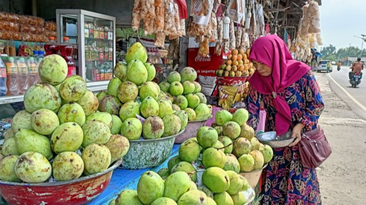 Berkah Lebaran, Penjual Mangga di Indramayu Raup Rp10 Juta Sehari
            - galeri foto