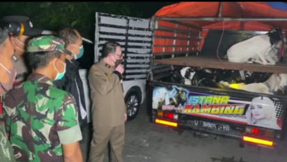 Cegah Penyebaran Virus PMK, Petugas Razia Truk dan Pick Up yang Angkut Sapi di Tol Suramadu