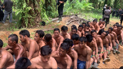 40 Petani Ditangkap Polisi, Diduga Panen Sawit di Lahan Sengketa