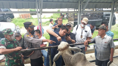 Antisipasi PMK, Sat Reskrim Polres Tapsel Cek Pasar Hewan di Paluta