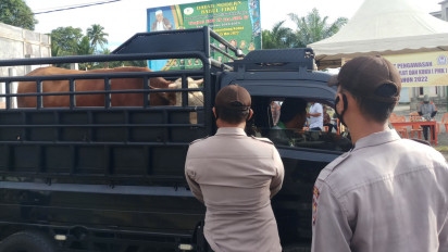 Cegah Wabah PMK, Belasan Sapi Dicegat Polisi saat Akan Masuk Aceh Barat