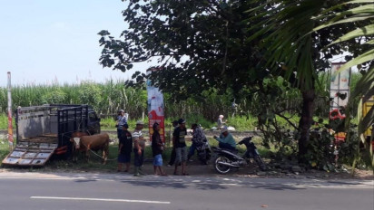 Pedagang Sapi Protes Minta Pasar Hewan di Kabupaten Malang Dibuka Kembali