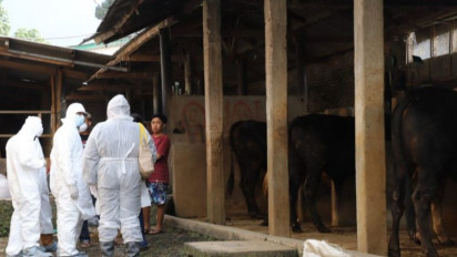 Antisipasi Wabah PMK, Pemerintah Kabupaten Garut Bentuk Satuan Tugas