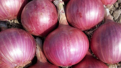 Manfaat Bawang Merah untuk Kesehatan, Keluhan-keluhan Ini Bakal Minggat dari Tubuh Anda