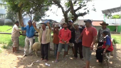Resah, Pedagang Kambing Tolak Penutupan Pasar Hewan