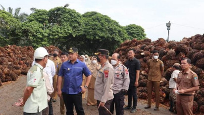 Harga Sawit di Dharmasraya Anjlok, Bupati Minta Pabrik Beli dari Petani