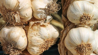 Khasiat Bawang Putih untuk Kesehatan, Kolesterol Jahat dalam Tubuh Turun Drastis