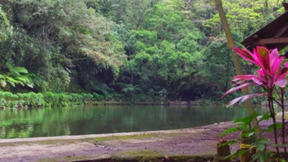 Digadang Jadi Lokasi Asli KKN di Desa Penari, Begini Sejarah Rowo Bayu Banyuwangi