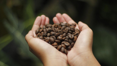 Inilah 7 Kopi Kualitas Ekspor Produksi Indonesia Yang Dikenal Dunia