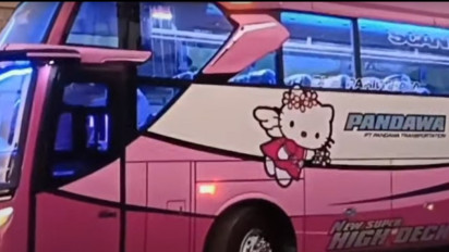 Ini Dia Tampilan Pandawa Pink Sebelum Kecelakaan, Bus Bekas?