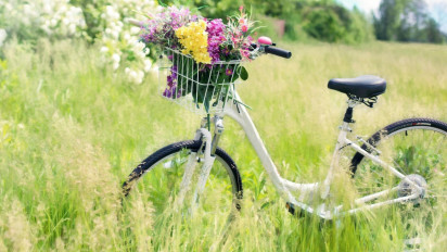 Inilah 4 Negara yang Memiliki Jumlah Pesepeda Terbanyak