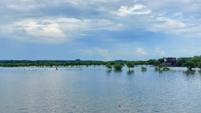 Puluhan Hektar Tambak Tenggelam Akibat Banjir Rob, Petambak Rugi Ratusan Juta