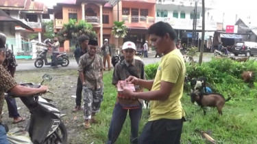 Pasar Ternak di Padang Pariaman Ditutup, Pedagang Nekat Berjualan di Pinggir Jalan