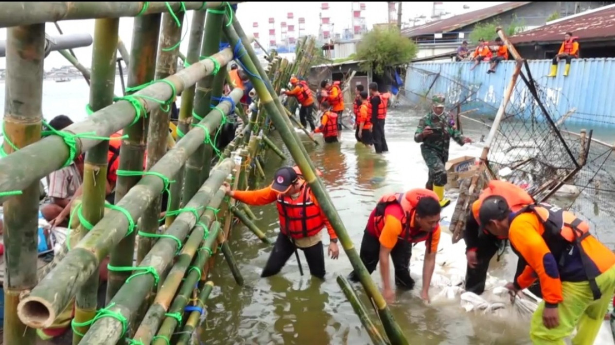 Wah! Ditemukan Banyak Retakan di Tanggul Laut Tanjung Emas Semarang
            - galeri foto
