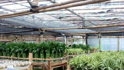 UMKM Harus Bisa Memanfaatkan Sistem Daring untuk Pasarkan Produknya