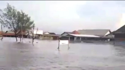 Ribuan Hektare Lahan Tambak di Brebes Teredam Banjir Rob, Kerugian Capai Rp8,34 Miliar